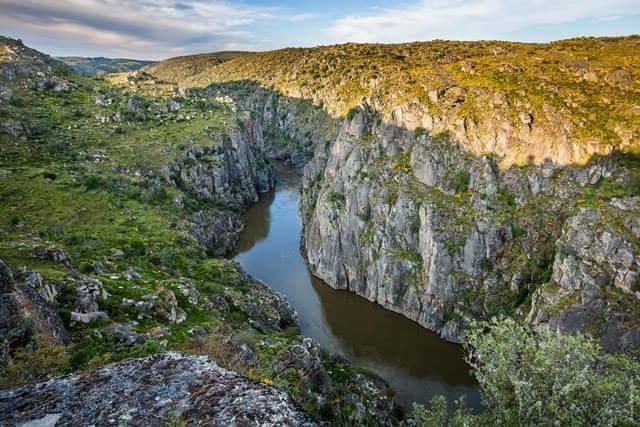 Flor Do Douro - Comercio E Hotelaria, Lda มีรันดา โด โดว์โร ภายนอก รูปภาพ