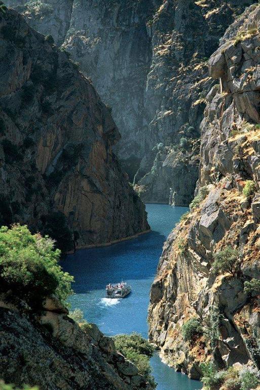 Flor Do Douro - Comercio E Hotelaria, Lda มีรันดา โด โดว์โร ภายนอก รูปภาพ