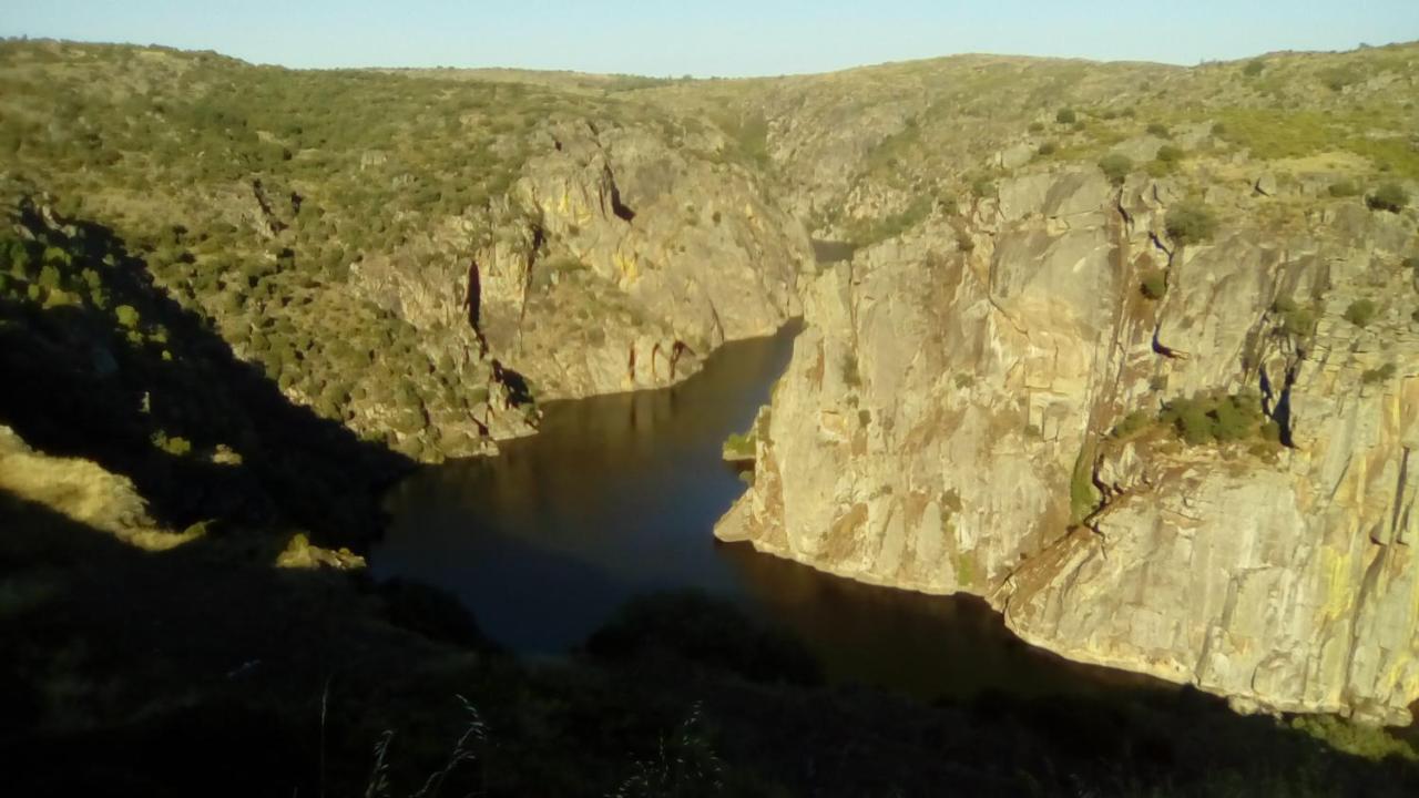 Flor Do Douro - Comercio E Hotelaria, Lda มีรันดา โด โดว์โร ภายนอก รูปภาพ