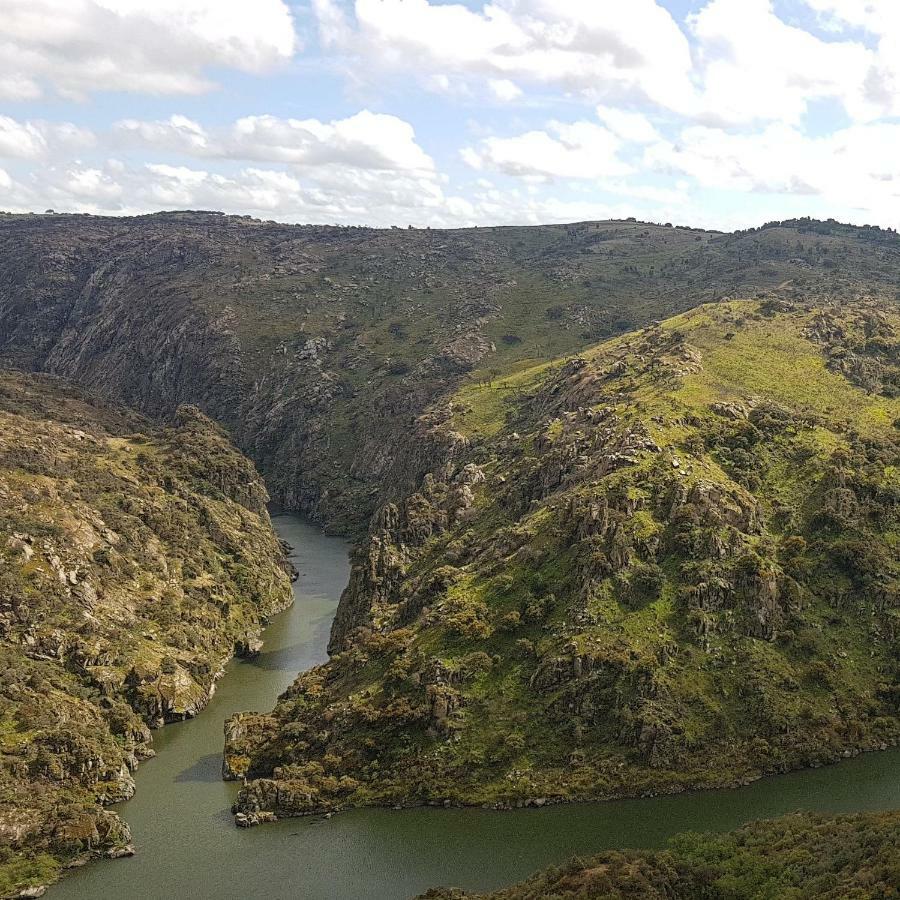 Flor Do Douro - Comercio E Hotelaria, Lda มีรันดา โด โดว์โร ภายนอก รูปภาพ